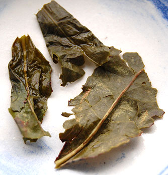 tributeoolongwetleaf.jpg