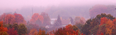 mistyfallmorning.jpg