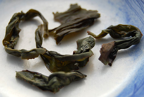 pouchongwetleaf.jpg
