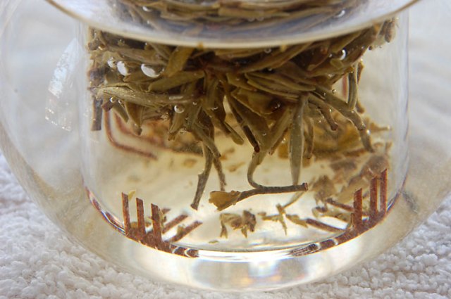 jasminedownywhitesteeps0117