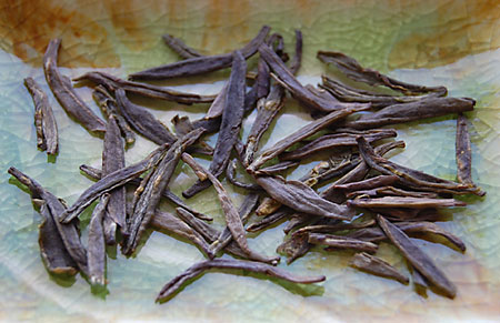 sparrowstonguedry022809