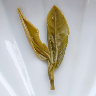 daorenpekoewet032809