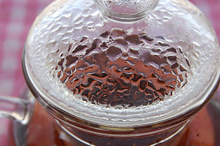 honeybushvansteep030709