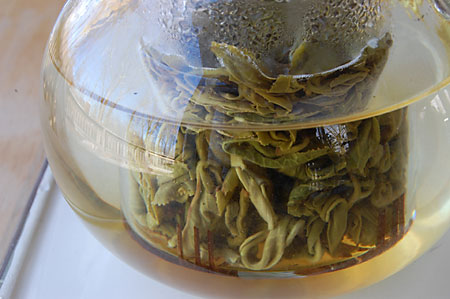 tippygunpowedersteep031409 tippygunpowedersteep031409