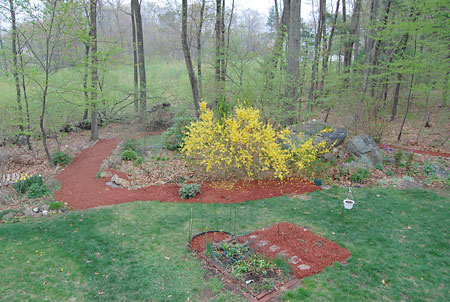 backyardgardens050109