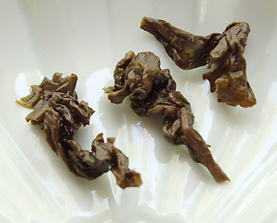 OolongTributeWet051609