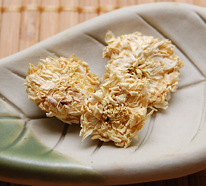 ChrysanthemumDry072509