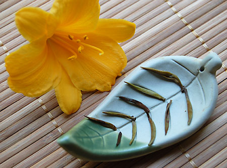 OkaytiWhiteWet071109