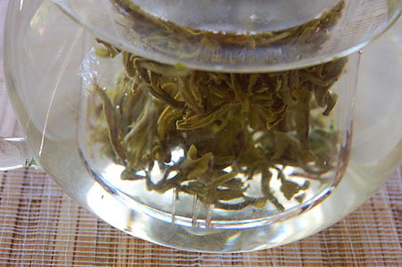 WhiteMonkeySteep081509