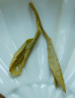 YelloHuoShanWet082209