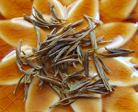 DongYangDongBeiDry091909