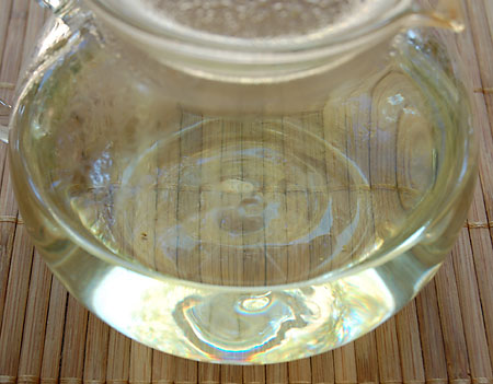 DongYangDongBeiTeapot091909