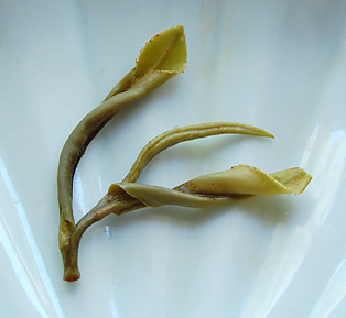 DongYangDongBeiWet091909