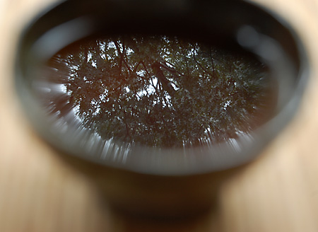 HubeiGoldenTeacup100309