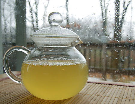 ChinGyokuroTeapot111409