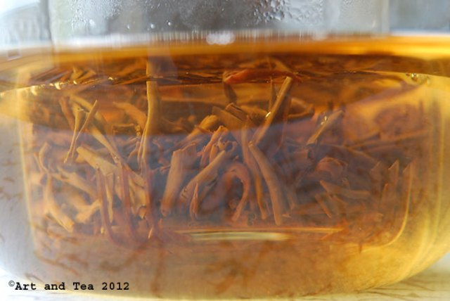 AncientTreeBoheaSteep050512