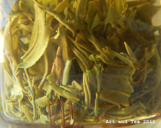 SnowDragonSteep061612