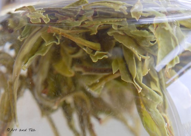 SnowBudsSuperiorSteep011213