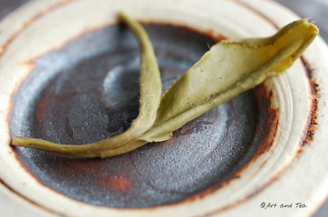 SnowBudsSuperiorWet011213