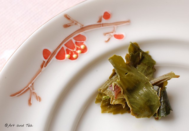 SpringHarvestSenchaWet01191