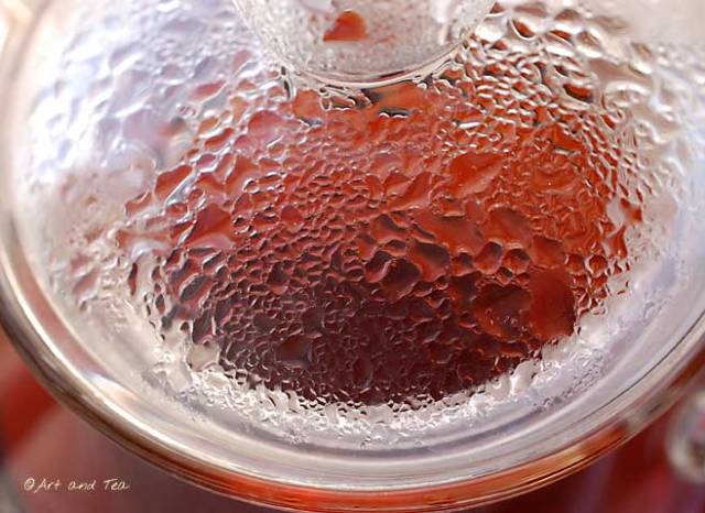 YunnanBlackSnailTeapot01051