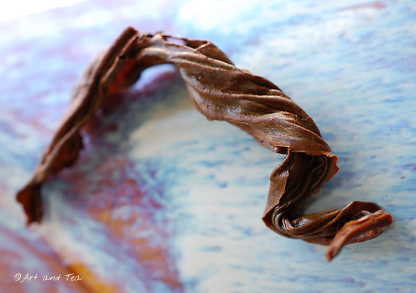 YunnanBlackSnailWet010513