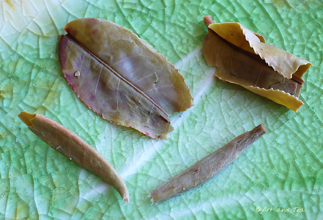 GlenburnFFDarjWet033013