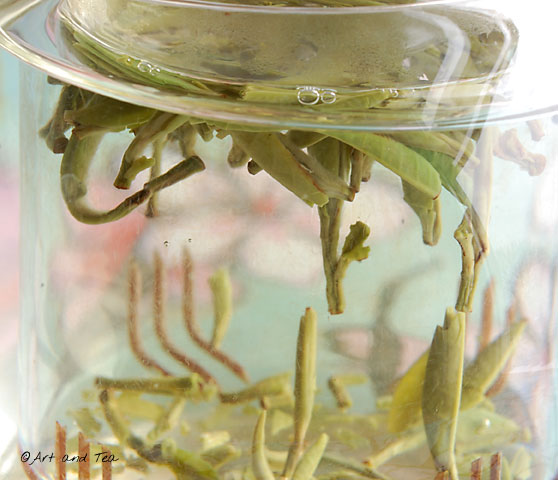 GreenNeedleSteep030213