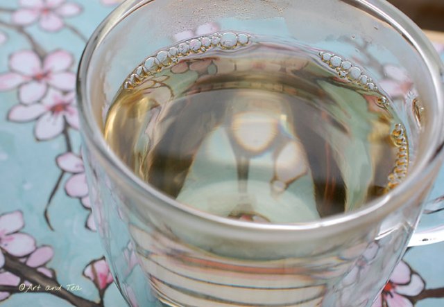 GreenNeedleTeamug030213