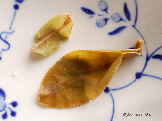 ThurboFFDarjWet031613