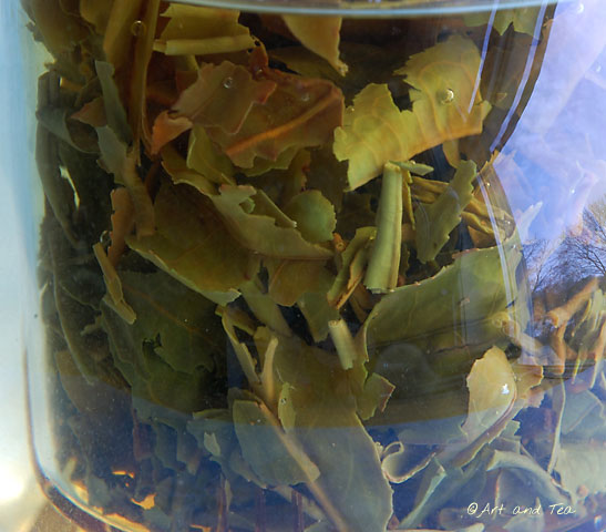 Glenburn1stFl2013Steep