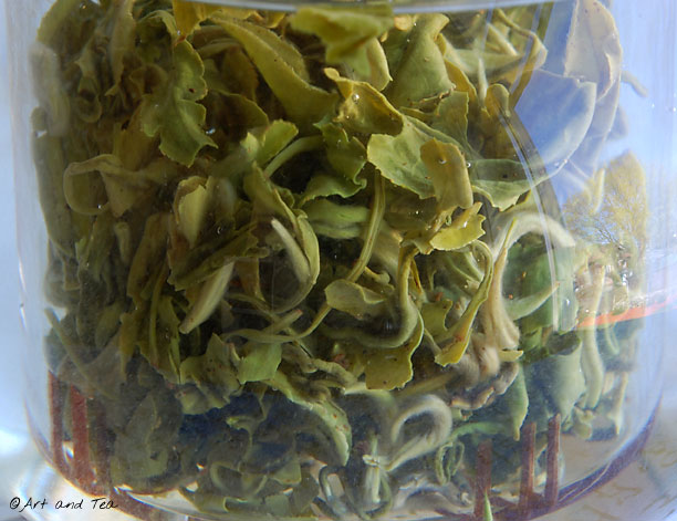 PCMPiLoChunSteep042713