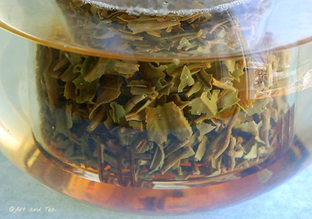 TumsongFFSteep040613