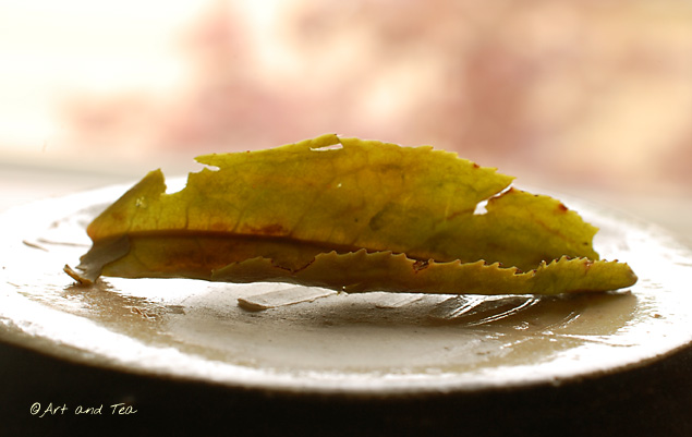 VictoriasPeakSunWet051113