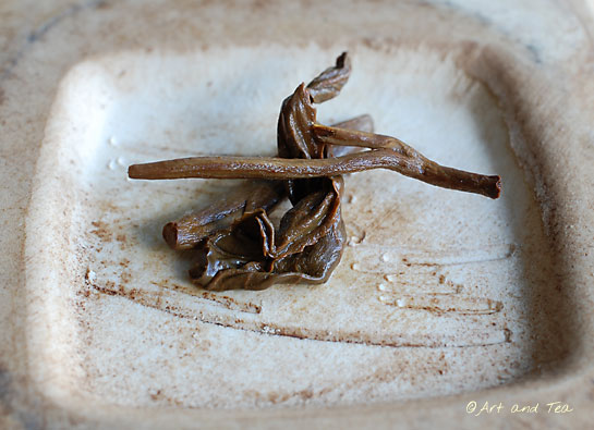 Marinyn Est Kenya Wet Leaf 080313