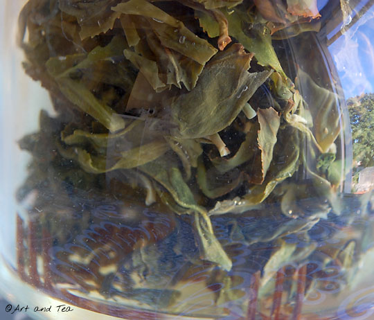 Pouchong Tea Steeping 09-14-13