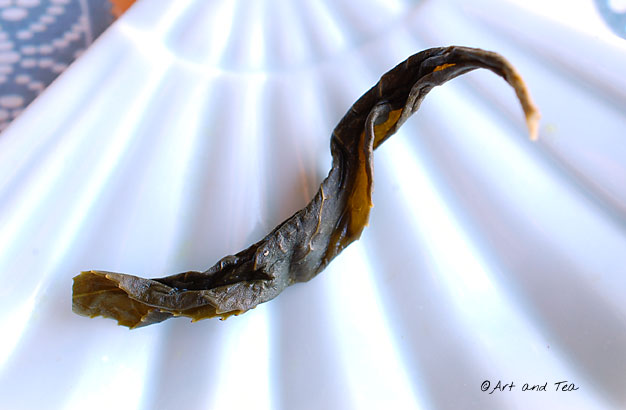 Pouchong Tea Wet Leaf 09-14-13