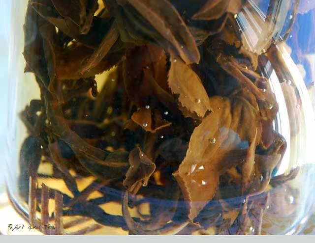 Eastern Beauty Oolong Steep 11-30-13