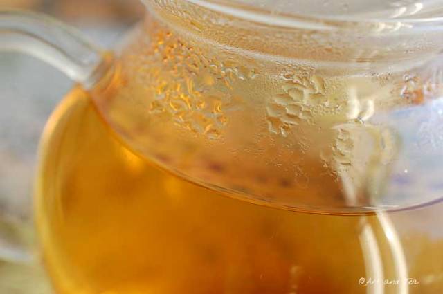 Eastern Beauty Oolong Teapot 11-30-13