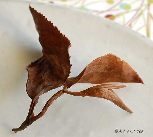 Eastern Beauty Oolong Wet Leaf 2 11-30-13