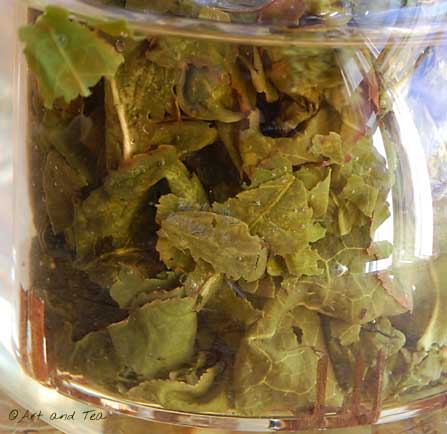 Huang Jin Gui Oolong Steeping 11-23-13