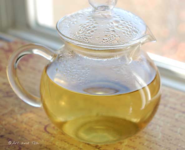 Huang Jin Gui Oolong Teapot 11-23-