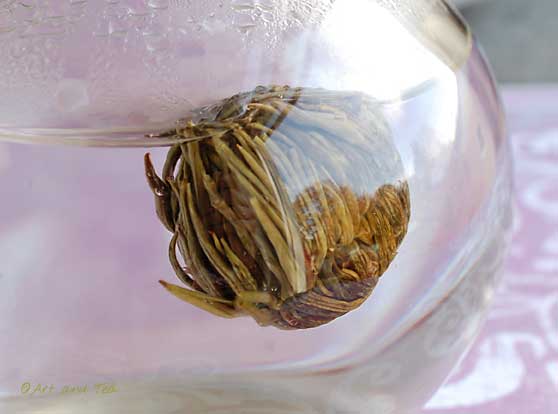 Noble Madam Steep 2 11-09-13