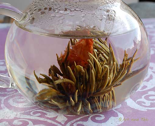 Noble Madam Steep 5 11-09-13