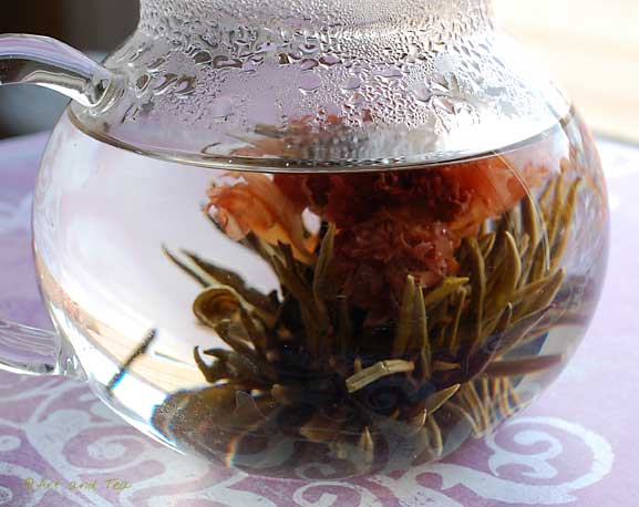 Noble Madam Steep 6 11-09-13