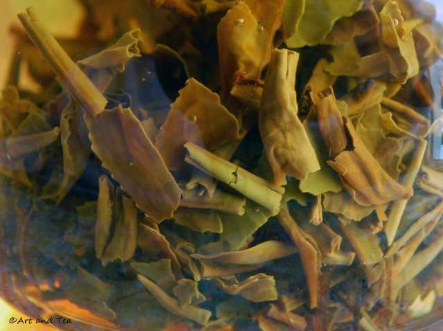 Havukal Estate Nilgiri Steep 02-15-14