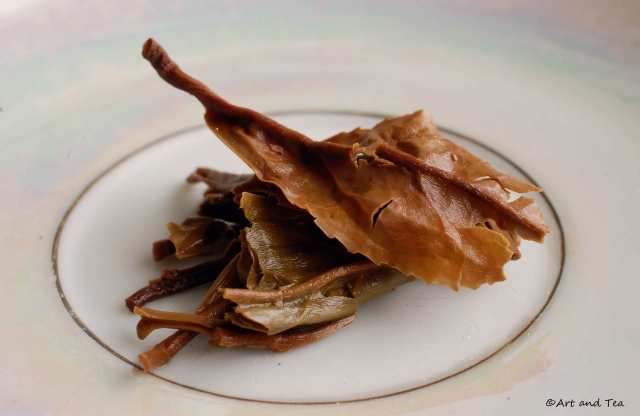 Havukal Estate Nilgiri Wet Leaf 02-15-14