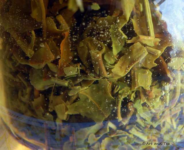 Marionbarie Est Steep 03-29-14