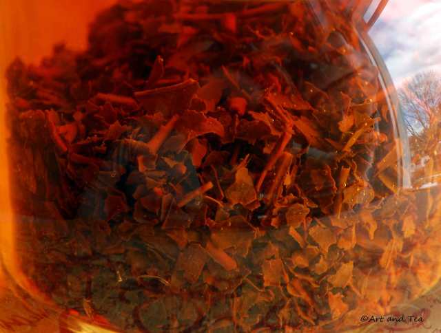 Nilgiri BOP Steep 03-15-14