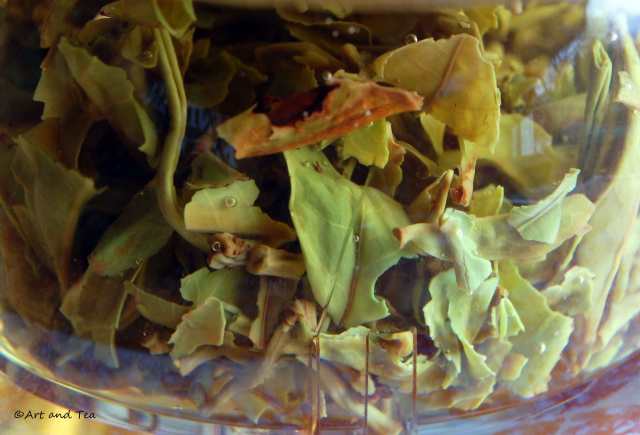 Balasun First Flush Darjeeling Steep 04-26-14